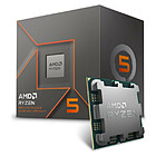 Productafbeelding AMD Ryzen 5 8600G