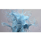 Productafbeelding Philips 24E2N1110