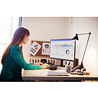 Productafbeelding Philips 24E2N1110