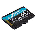 Productafbeelding Kingston Canvas Go! Plus