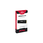 Productafbeelding Kingston FURY Renegade G5