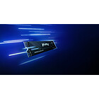 Productafbeelding Kingston FURY Renegade G5